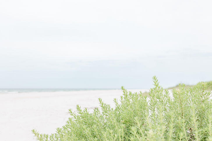 apalachicola photographer | beach photos st george island