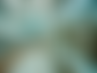 Exploring THC 9 at Tobacco Barn: Winston Salem's Premier Source for Quality Cannabinoids