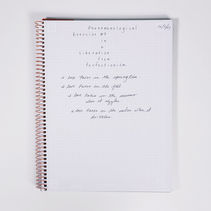 Aidyn_Notebook_08_11.jpg