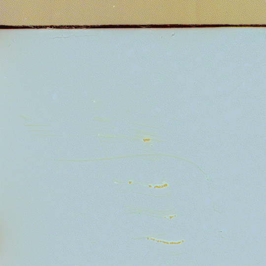 Nested Sequence 05_2.gif