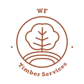 WFTS Logo transparent.png