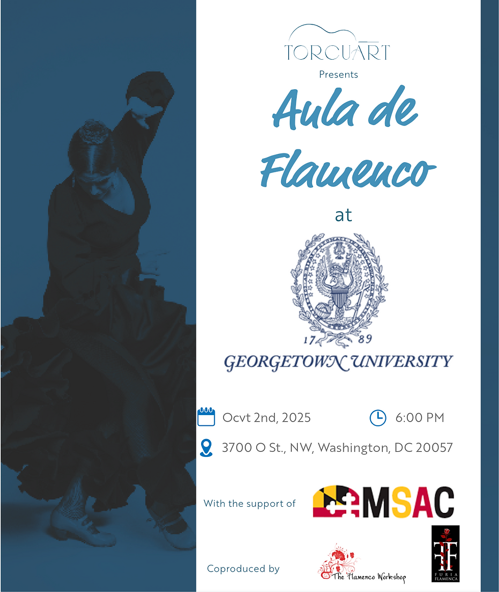 Aula de Flamenco 