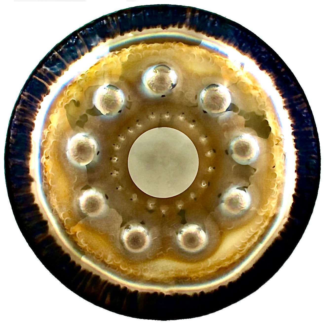 Gongland No. 9 GONG - ein kunstvoll gestalteter Gong mit elegantem Design.