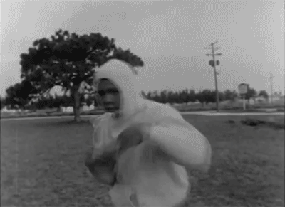 THE FITNESS LIFESTYLE