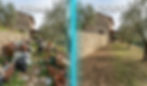 ST - giardino_edited.jpg