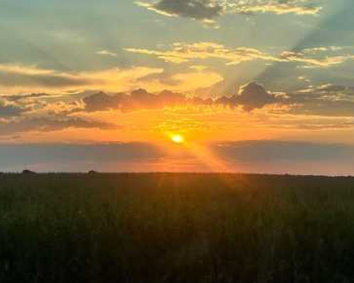 sunset.jpg