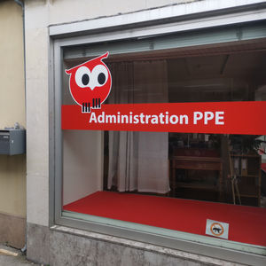 Window Graphics Project – Translucent Film Printing & Installation