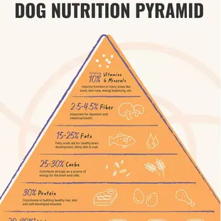 The Dog Food Pyramid: A Feeding Guide for Your Furry Friend 