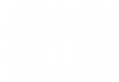 skillset_logo_white_transparent_edited_e