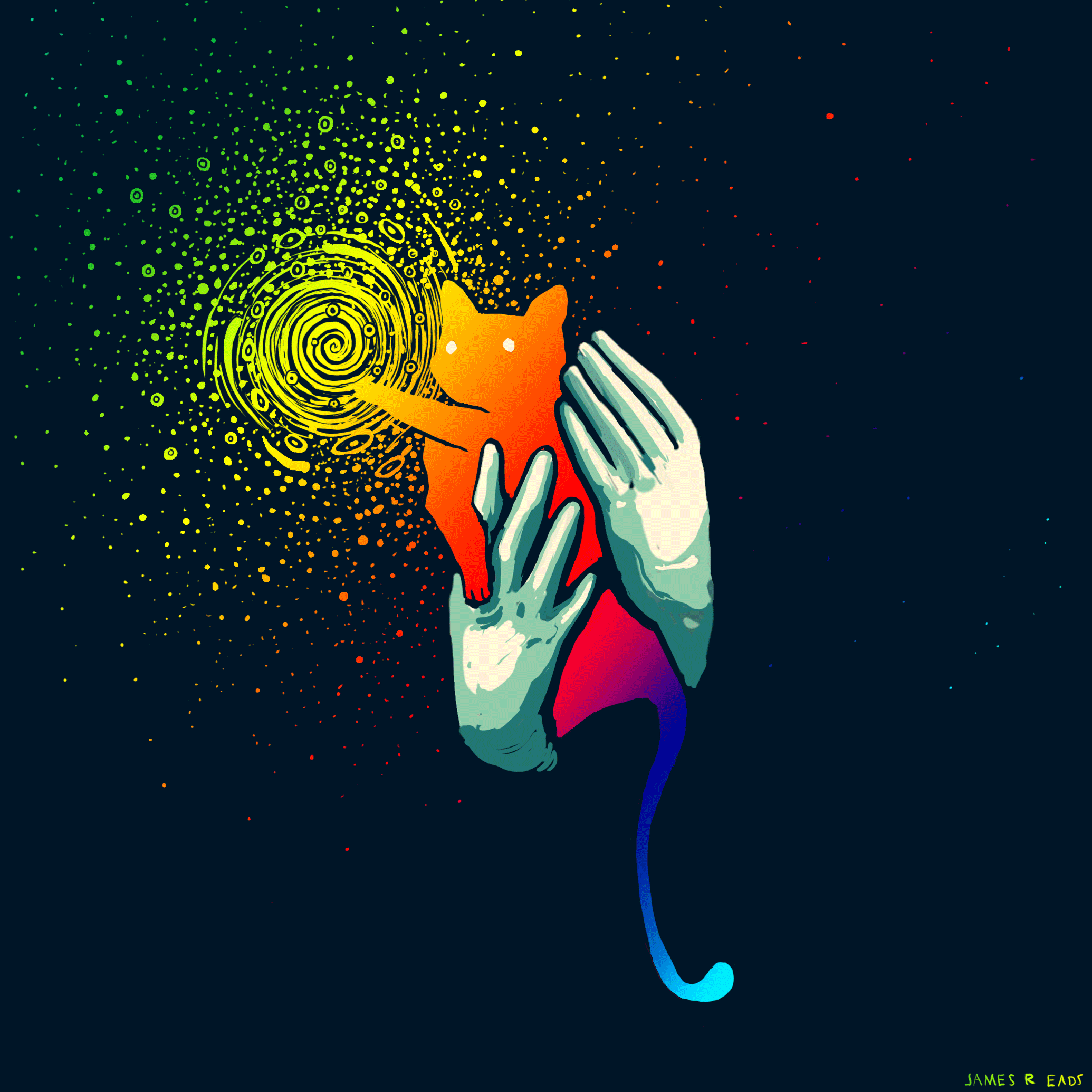 THE MYSTIC CAT