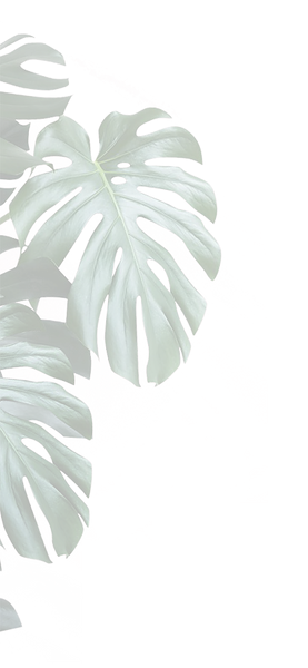 elements