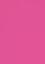 rose.jpg