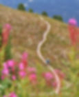 Hotel Weisshorn Bike.jpg