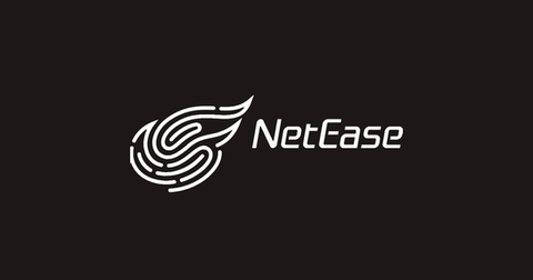 proj_NetEase.png