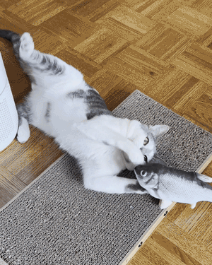 paulcat.gif