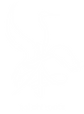 White Crane