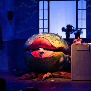 Little Shop of Horrors