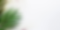 Untitled design-76.png