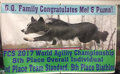 Go 2017 IFCS banner.jpg