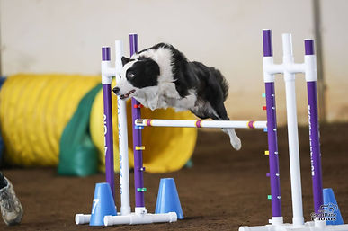 Yates jumping.jpg
