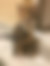 kedi sahiplendirme ilanları içinde birinci resmin ikon boyutu