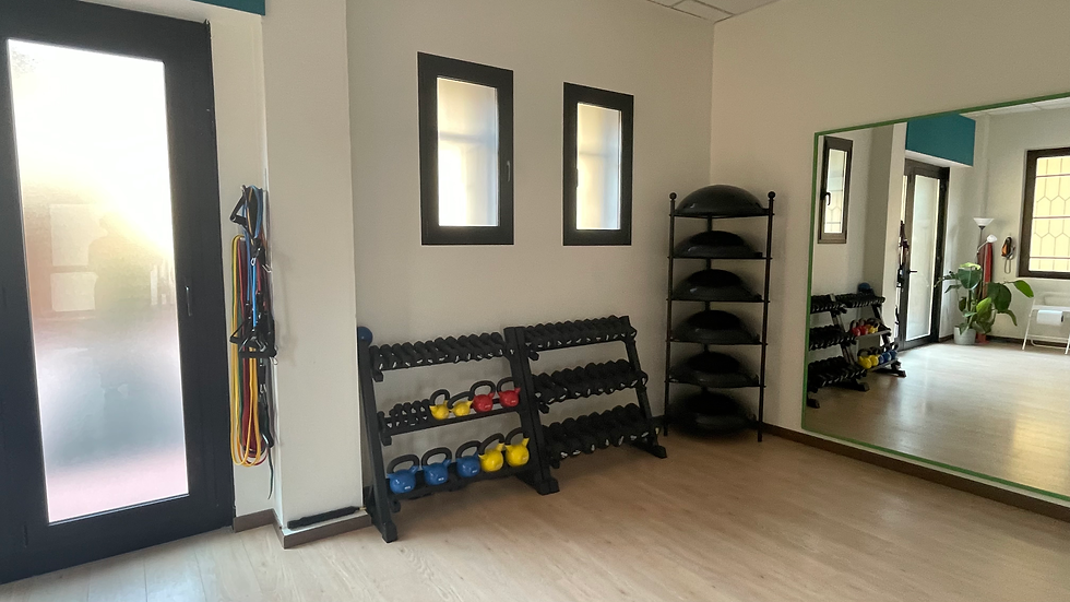 Palestra