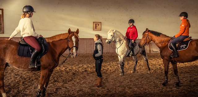 Sport étude équitation clearance