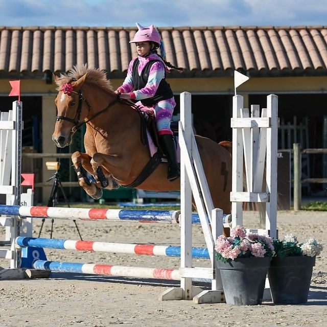 Championnat d'automne 2024