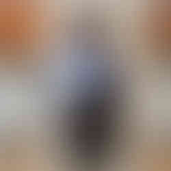 NTT Cup, février 2026, HDN Academy