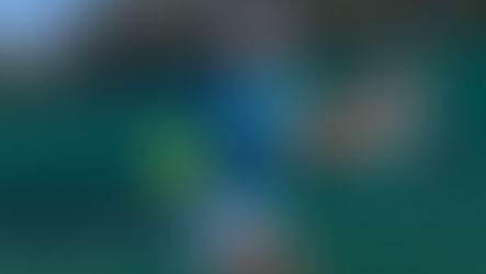 Parole de stagiaire, Curtley, son parcours vers le niveau professionnel 