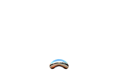 da-bean.gif