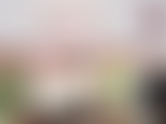 Encabeza Mónica Villarreal Instalación del Comité Municipal de Protección Civil