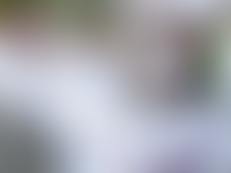 Arranca Mónica Villarreal operativo “Semana Santa Segura Tampico Te Cuida 2026