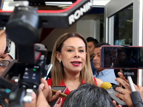 Borrador automático