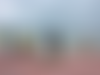 Atrapan cocodrilo escondido entre las escolleras de playa Miramar