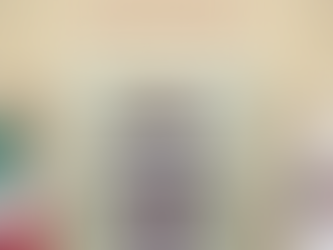 RINDE AMÉRICO SU SEGUNDO INFORME DE GOBIERNO