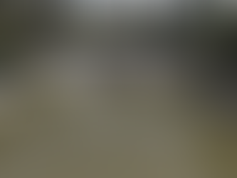 Señala COMAPA SUR la importancia de cuidar el agua