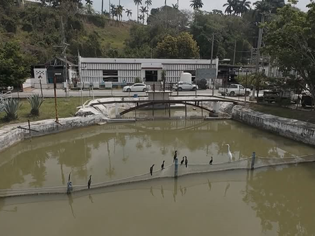 Señala COMAPA SUR la importancia de cuidar el agua