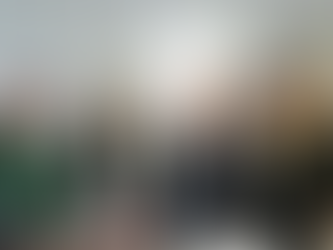 Es Electa Mónica Villarreal a la Mesa Directiva de ICLEI