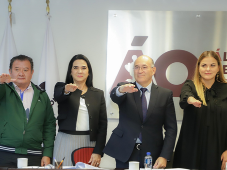 Es Electa Mónica Villarreal a la Mesa Directiva de ICLEI