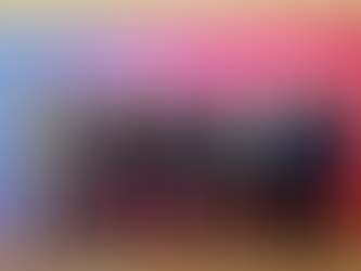 Tampico y Mc Allen Comparten una misma Visión para el Desarrollo a Través de la Cooperación Mutua: Mónica Villarreal