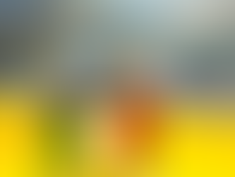 Tamaulipecas son históricas para el voleibol mexicano juvenil