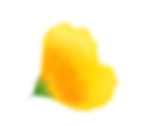 Mesa de trabajo 7.png