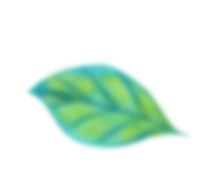 Mesa de trabajo 8.png
