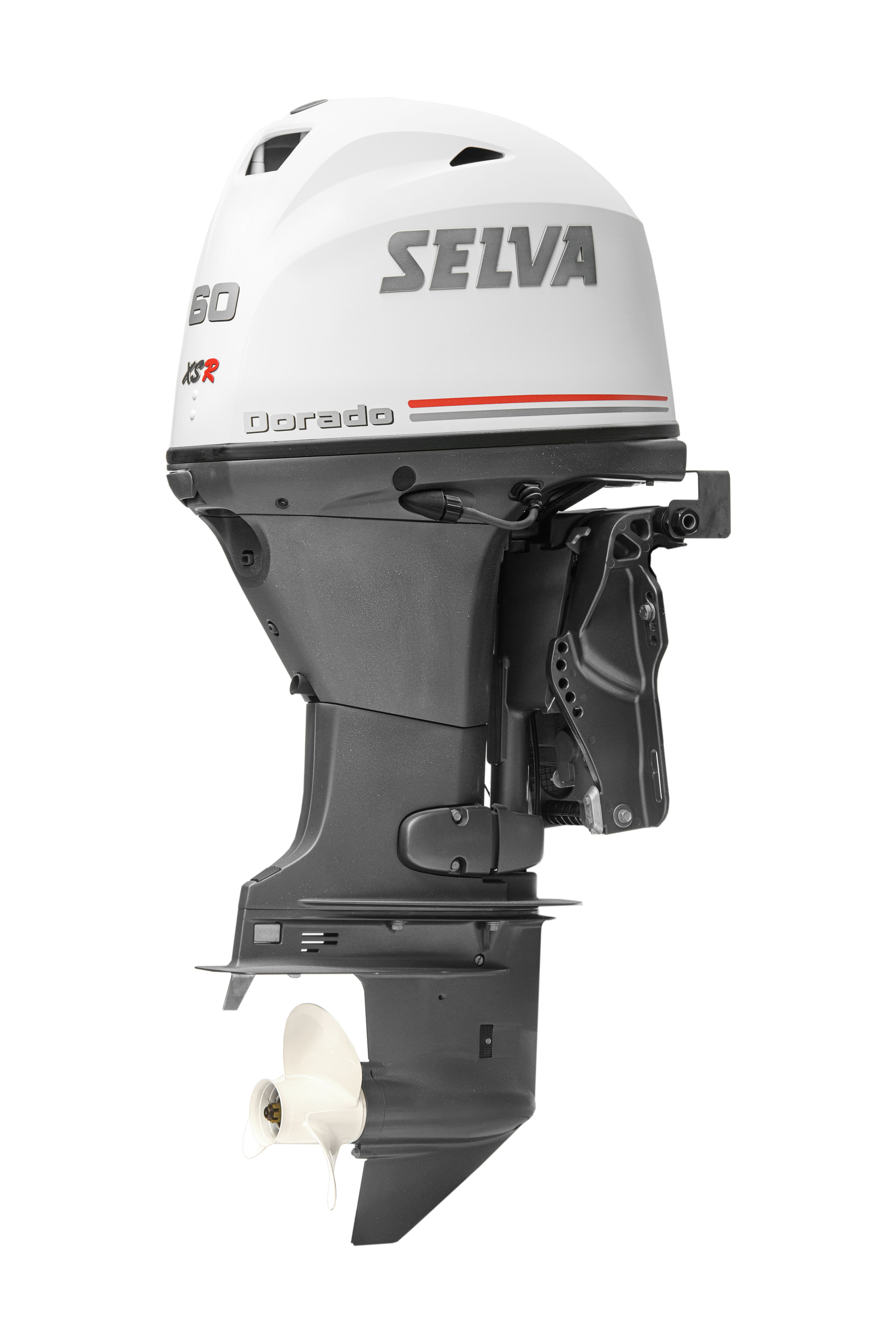 Selva Dorado 30 XS Outboard Engine Selva outboard engine