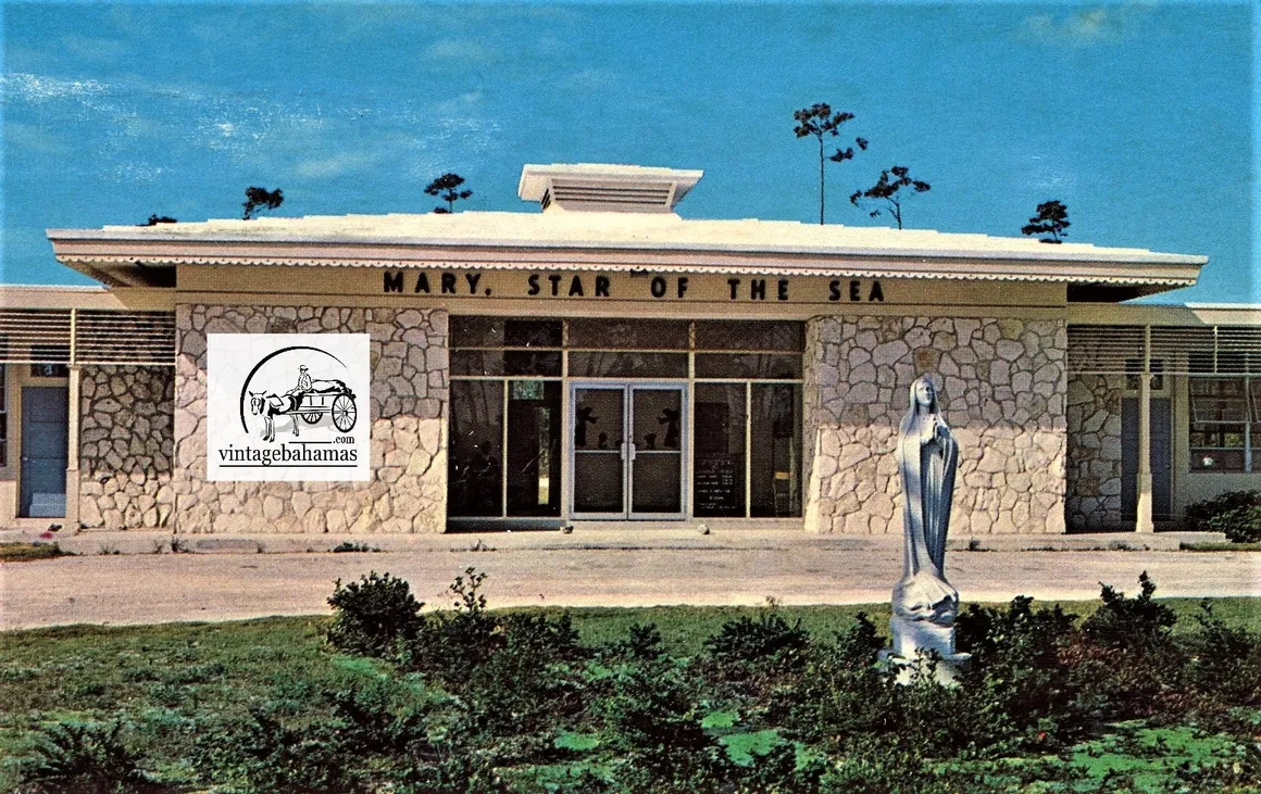 Mary Star Of The Sea School
