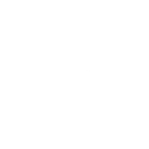 N_FINAL.gif