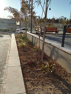 מדרכה, אדנית עם צמחים וכביש