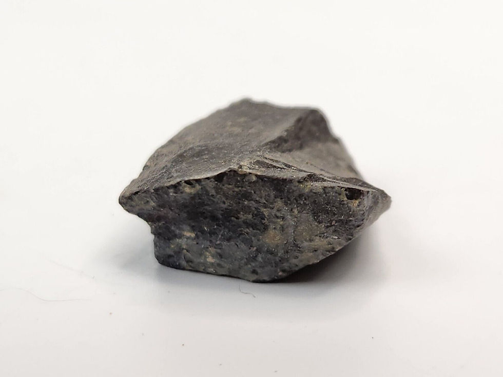 Thumbnail: Gorgosaurus (Tyrannosaurid) Metatarsal Fragment - Two Medicine - Teton County MT