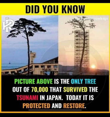 WhatsApp Image 2021-12-11 at 8.47.05 PM (12).jpeg